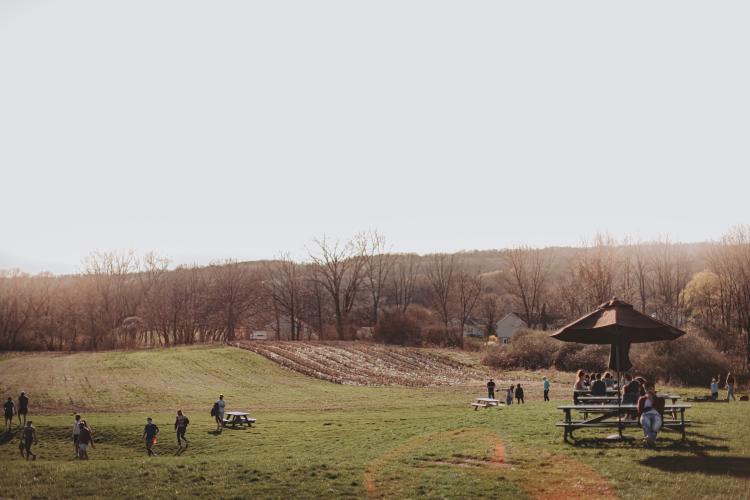 Field and outdoor dining at Ithaca Beer Co