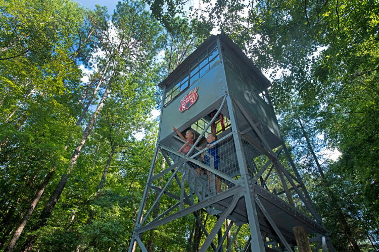 Clemmons Educational State Forest fire tower in Clayton, NC.