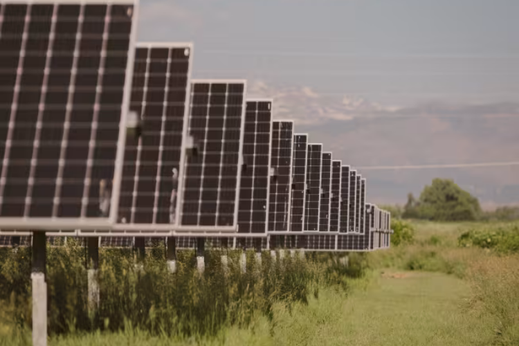 View of solar panels at Jack's Solar Garden