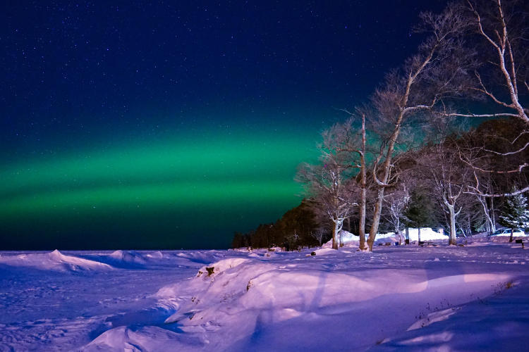 The green northern lights against a midnight sky with a snow-covered ground and a line of trees