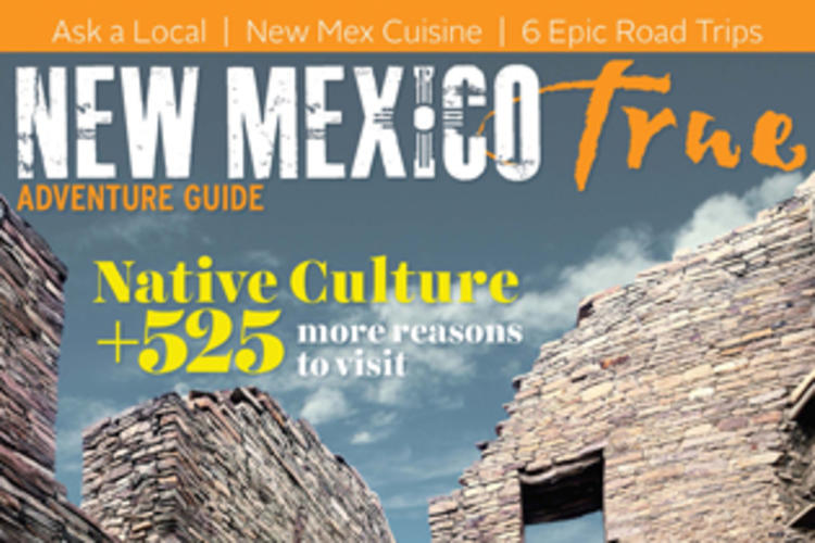 NM True Adventure Guide Hits National Newsstands