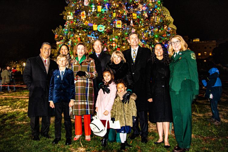 U S Capitol Christmas Tree From New Mexico Lights Up Washington D C