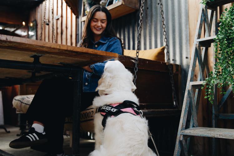 Dog Friendly Itinerary Causeway Coast - 01