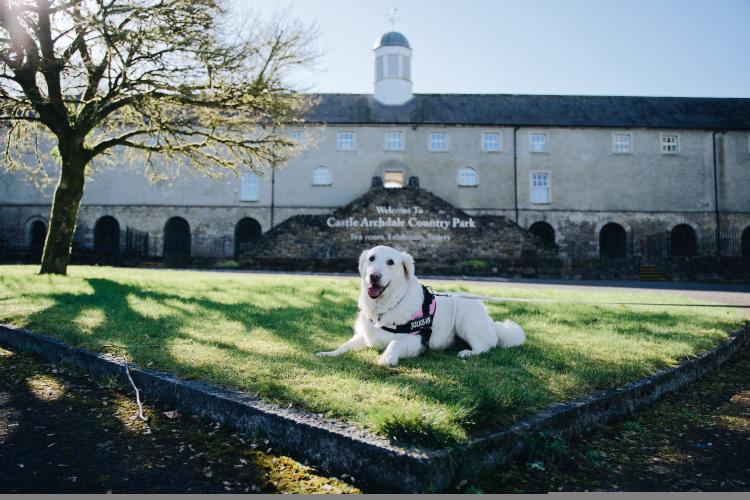 Dog Friendly Itinerary Fermanagh - 05