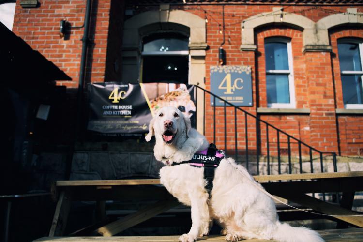 Dog Friendly Itinerary Armagh - 01