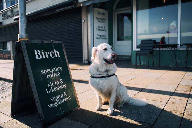 Dog Friendly Itinerary Down - 04