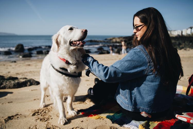 Dog Friendly Itinerary Causeway Coast - 06