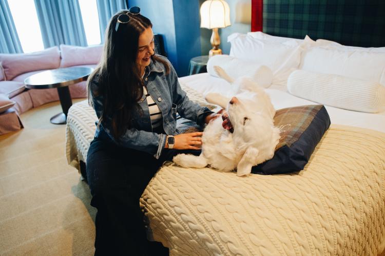 Dog Friendly Itinerary Causeway Coast - 03