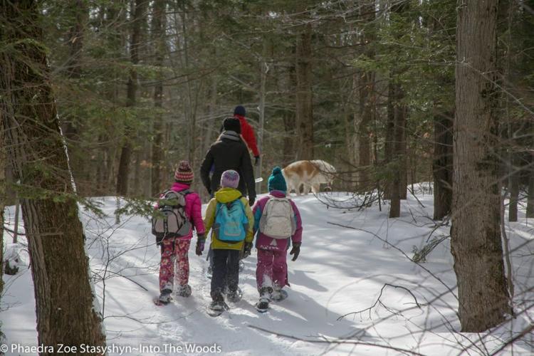 Three children snowshoeing behind two adults in the woods