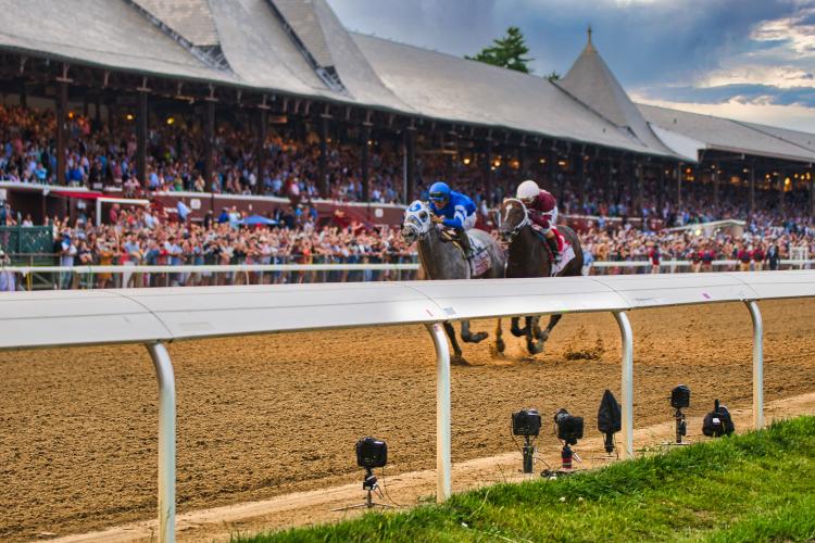 Two horses racing in front of the grandstand at the track.