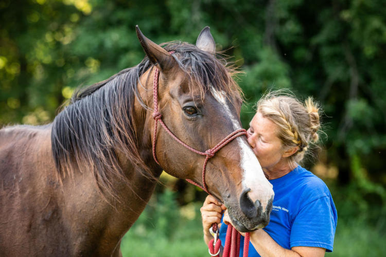 Therapeutic Horses