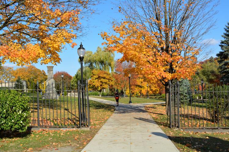Iron gate entrance into Congress Park with foliage on the trees and leaves covering ground.