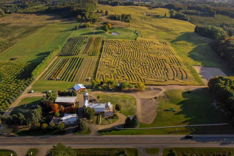 Jacob's Farm Corn Maze