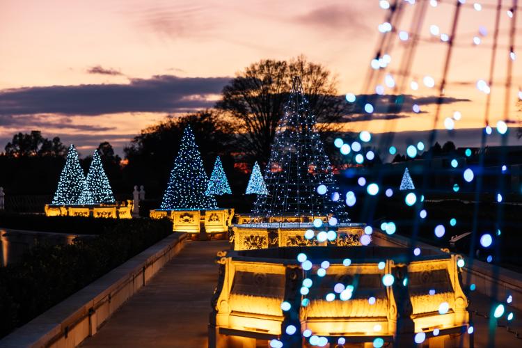 Fountains at LW Christmas