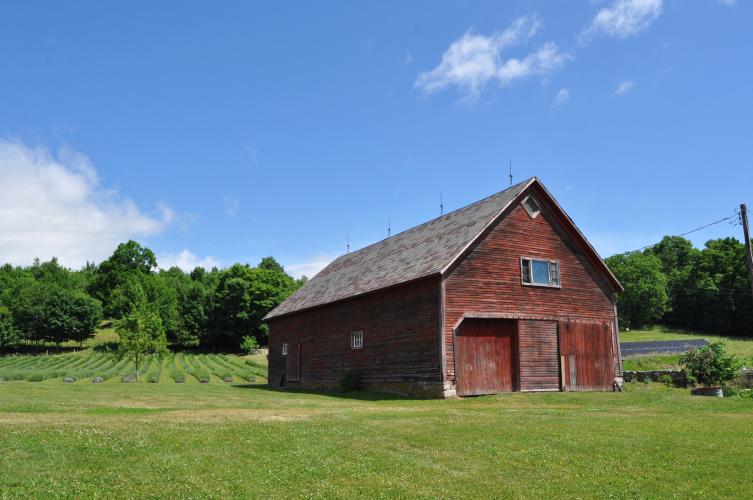 Barn in the middle of large field at Lavenlair Farm