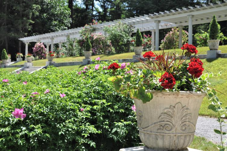 Looking up the hill toward the pergola at the Yaddo Gardens