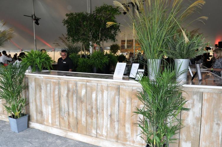 The bar surrounded by plants