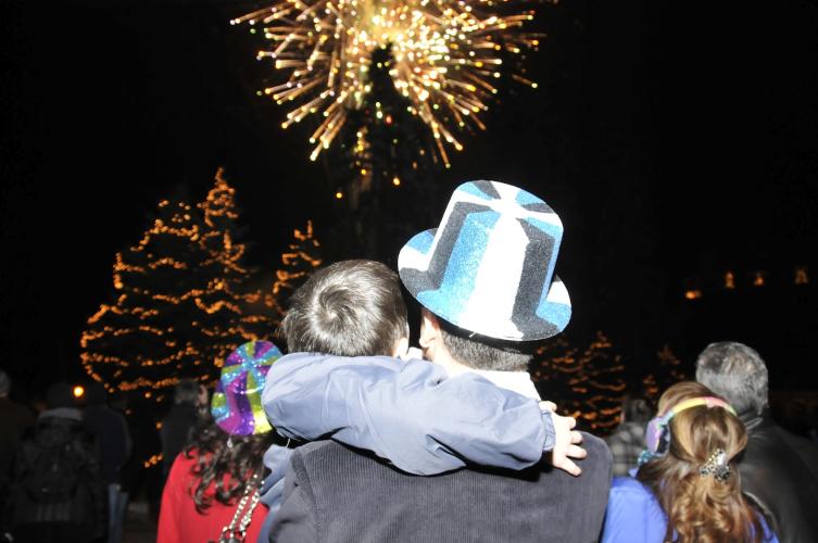 Back of father holding son while watching fireworks
