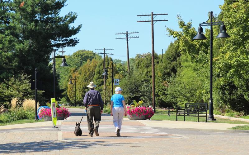 A senior couple walking with their dog on the B-Line Trail