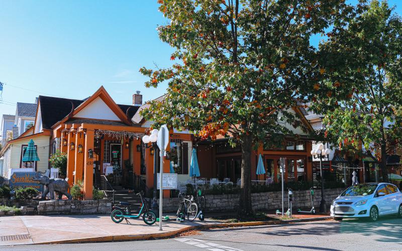 A view of 4th Street and Siam House during fall