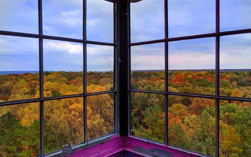 A view of the fall-toned tree tops in the Hoosier National Forest from the Hickory Ridge Fire Tower