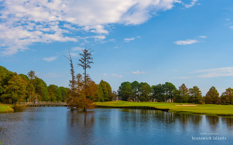 Crow Crow Golf Course #8