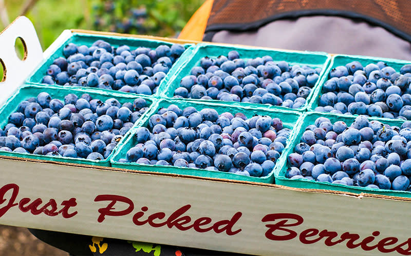 farmers-market