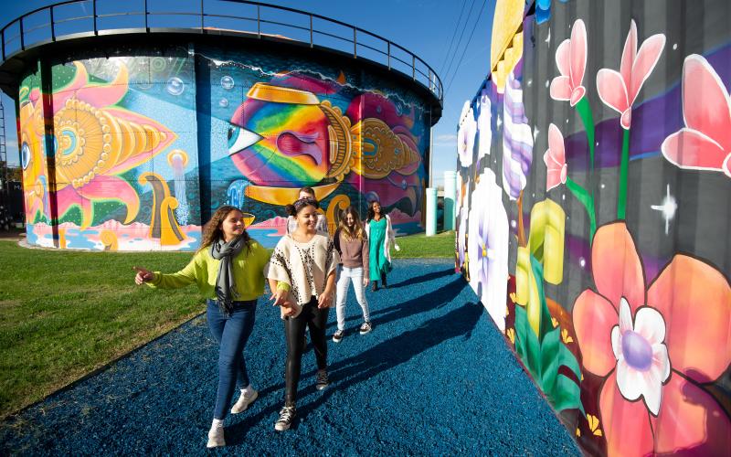 NoCo Arts & Cultural District Murals