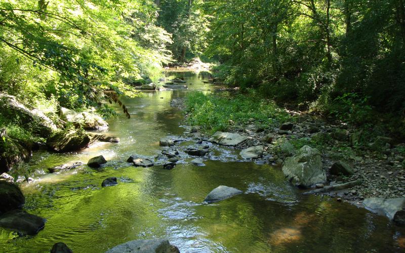 Escape to Nature's Embrace: A Journey to Maryland's Patuxent River State Park