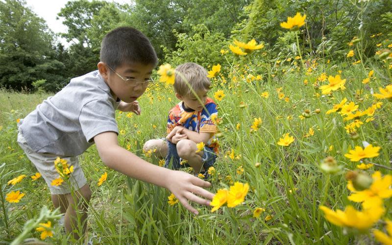 runge nature center