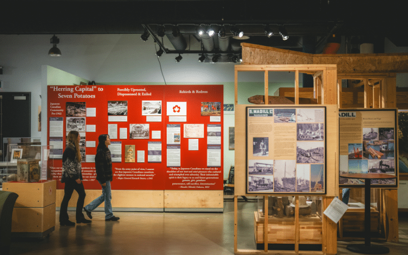 history museum displays