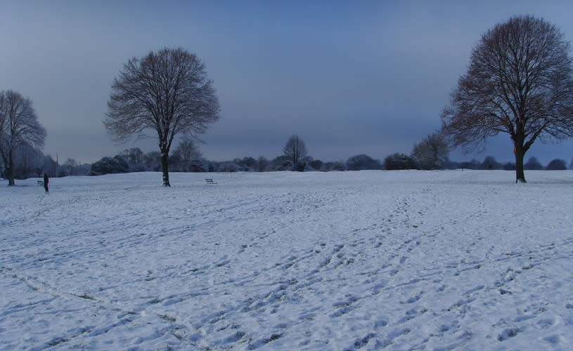 Clifton Downs in the snow - credit Visit West