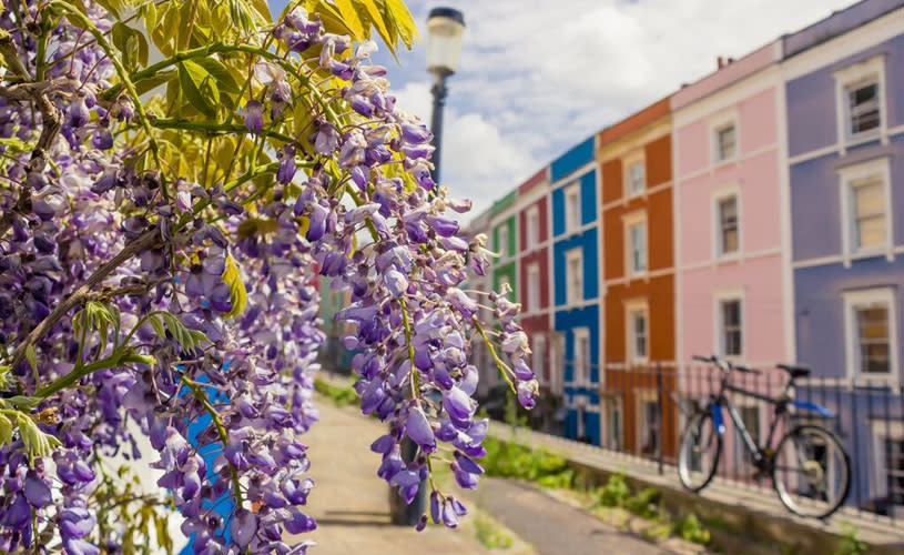 Colourful houses along Ambra Vale South in Cliftonwood - credit Jess Siggers