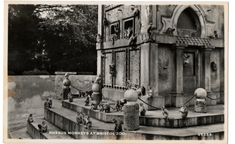 Black and white photo of the historic Monkey Temple at Bristol Zoo Gardens - credit Bristol Zoo Project archive