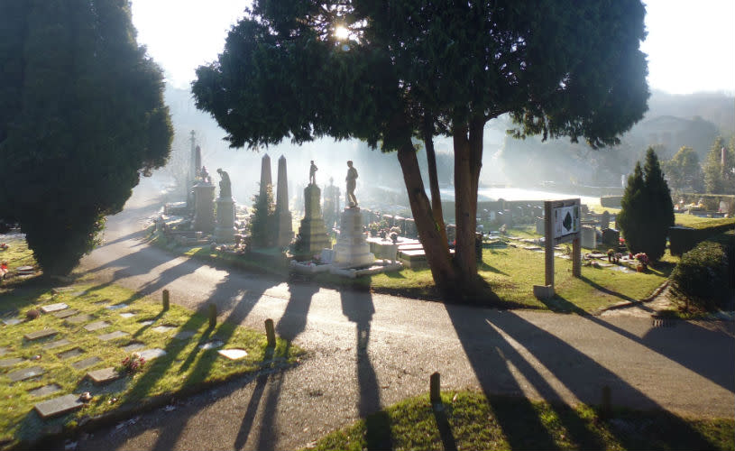Graves in the mist at Arnos Vale Cemetery - credit Arnos Vale Cemetery