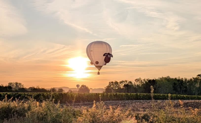 Dolly the Sheep hot air balloon - Credit Bristol International Balloon Fiesta