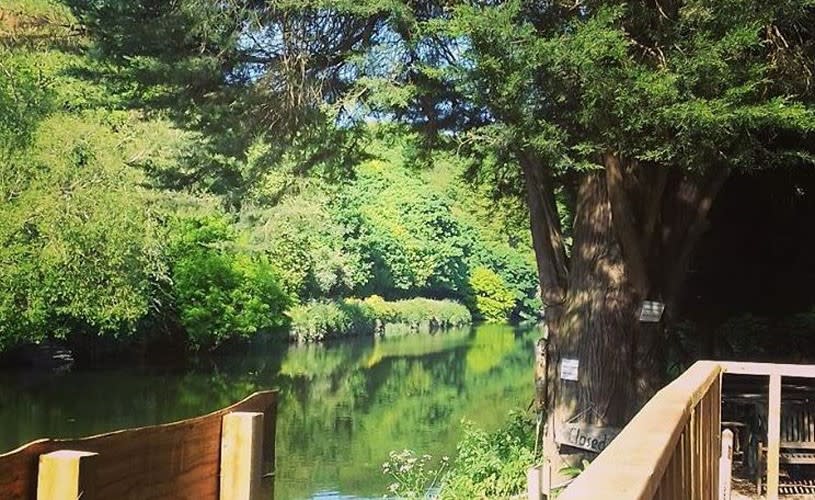 Beeses Riverside Bar, Credit: Beese's Riverside Bar