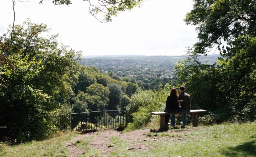 Couple sat on bench looking at view across forest