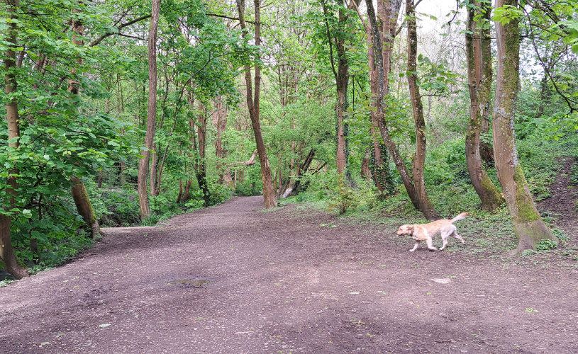 Nightingale Valley in Brislington - credit Jon Chamberlain