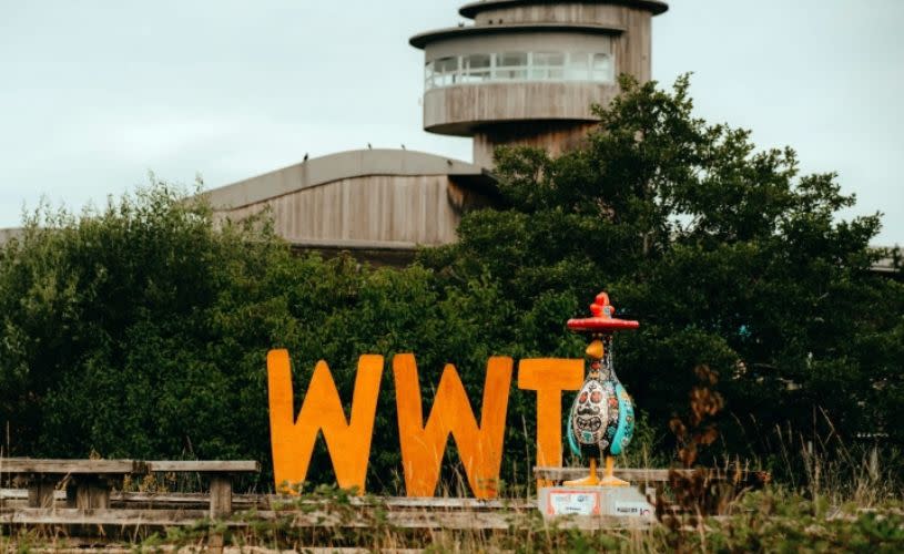 Gromit Unleashed 3 - El Plumas at WWT Slimbridge- credit WWT Slimbridge