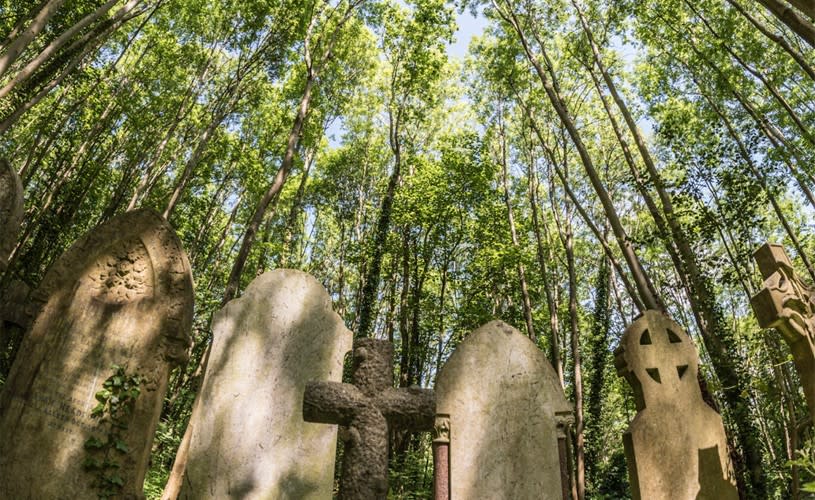 Graves at Arnos Vale Cemetery - Credit Oliver Jordan