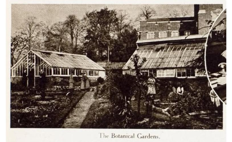 Univesity of Bristol Botanic Gardens