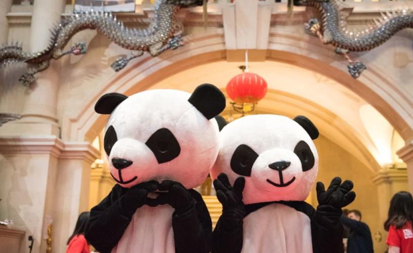Bristol Museum & Art Gallery - people dressed in Panda costumes