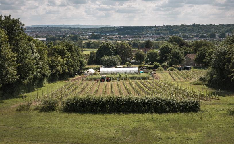 Buttercliffe Farm near Bristol - credit Faydit Photography