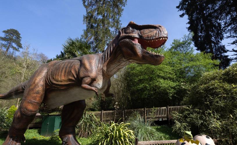 Dinosaur Valley at Wookey Hole - credit Paul Box