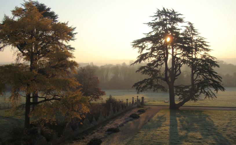 Sunrise at Ashton Court Estate - credit Bristol Parks