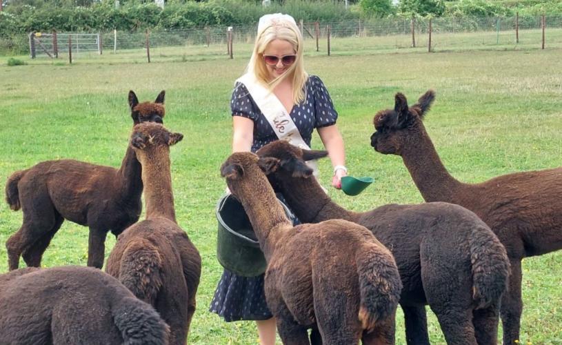 Hen party at Wolfridge Alpaca Farm in Alveston, South Gloucestershire - credit Wolfridge Alpaca Farm