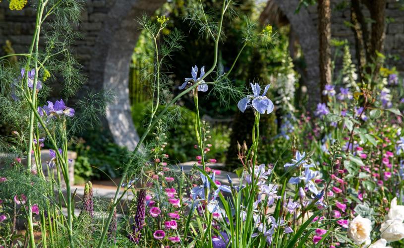 RHS Badminton Flower Show