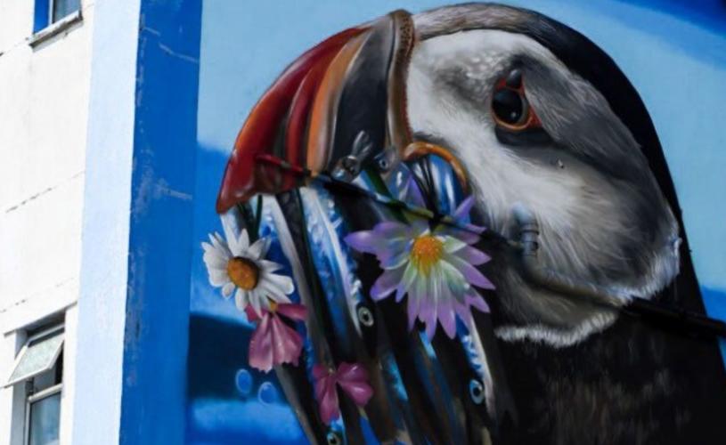 Peachzz puffin mural at Weston Wallz