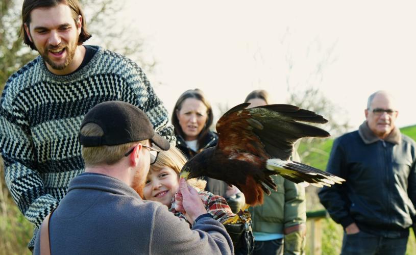 Hawk experience at Bird of Prey Project near Bristol - credit Bird of Prey Project